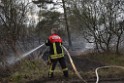 Waldbrand Wahner Heide Troisdorf Eisenweg P480